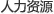 人力资源