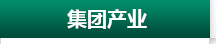 集团产业